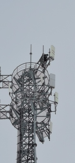 大雪時節(jié)，電信服務溫暖如約——記信息咨詢服務的堅守與溫度